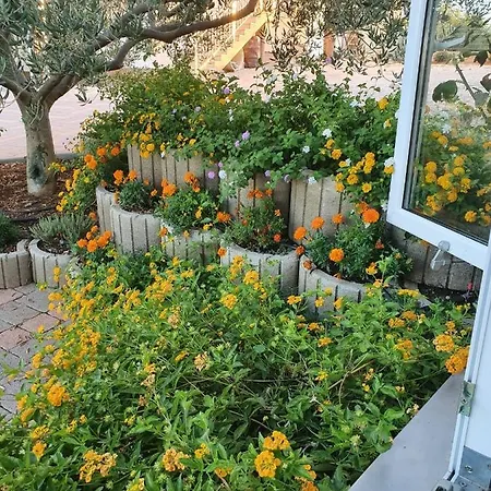 Apartamento Grande Rosa