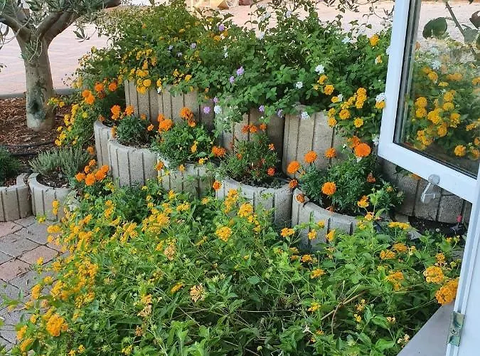 Appartement Grande Rosa